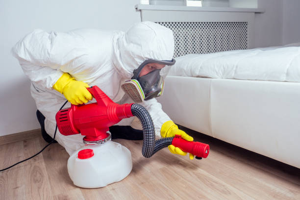 Professional Pest Control in Madison, MS